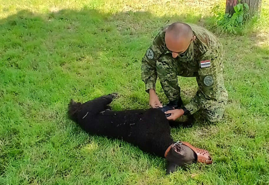 Członkowie Service Dog Guide Training Center uczestniczyli w międzynarodowym szkoleniu dotyczącym zadań policji wojskowej NATO we Fritzlar w Niemczech