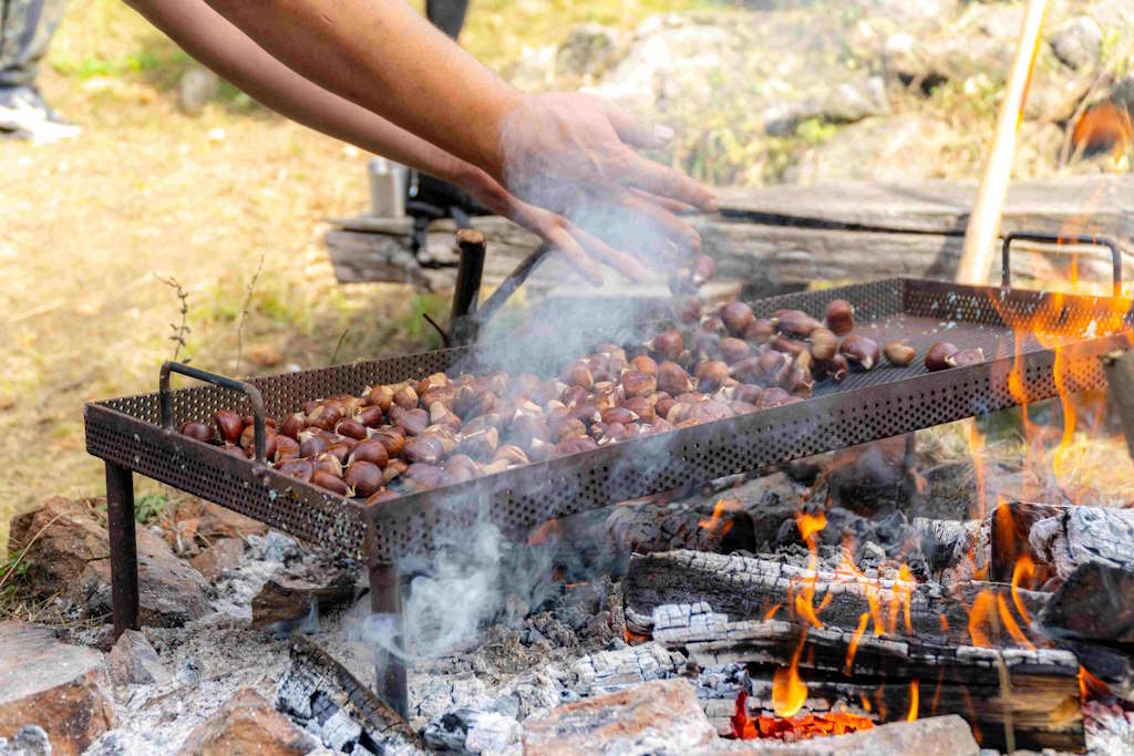 26. Kastanienfest in Sveti Ivan Zelina lockte Tausende von Besuchern mit einem reichen gastronomischen Angebot, Wettbewerben und Familienspaß