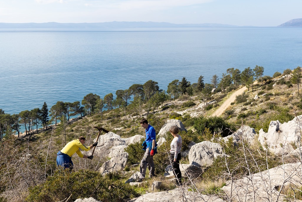 Inicjatywa sadzenia drzew Valamar: „Easy as one, two, tree” przyczynia się do zachowania lasów w Chorwacji z planem posadzenia 10 000 drzew w 2024 roku