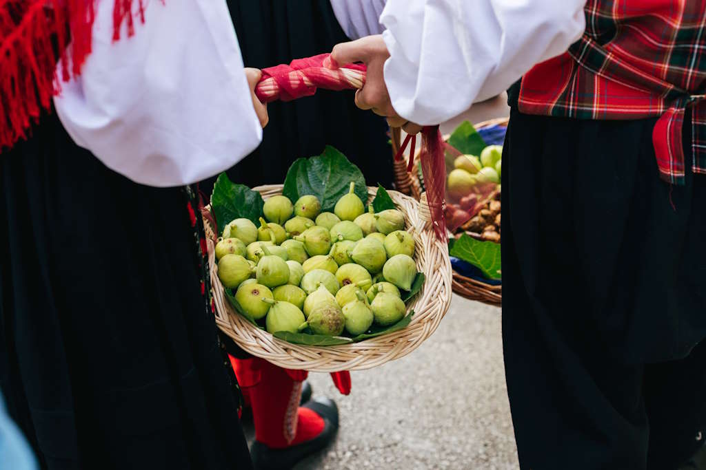 Fig Days in the city of Krk: Celebrating Mediterranean heritage through gastronomy, workshops and music program